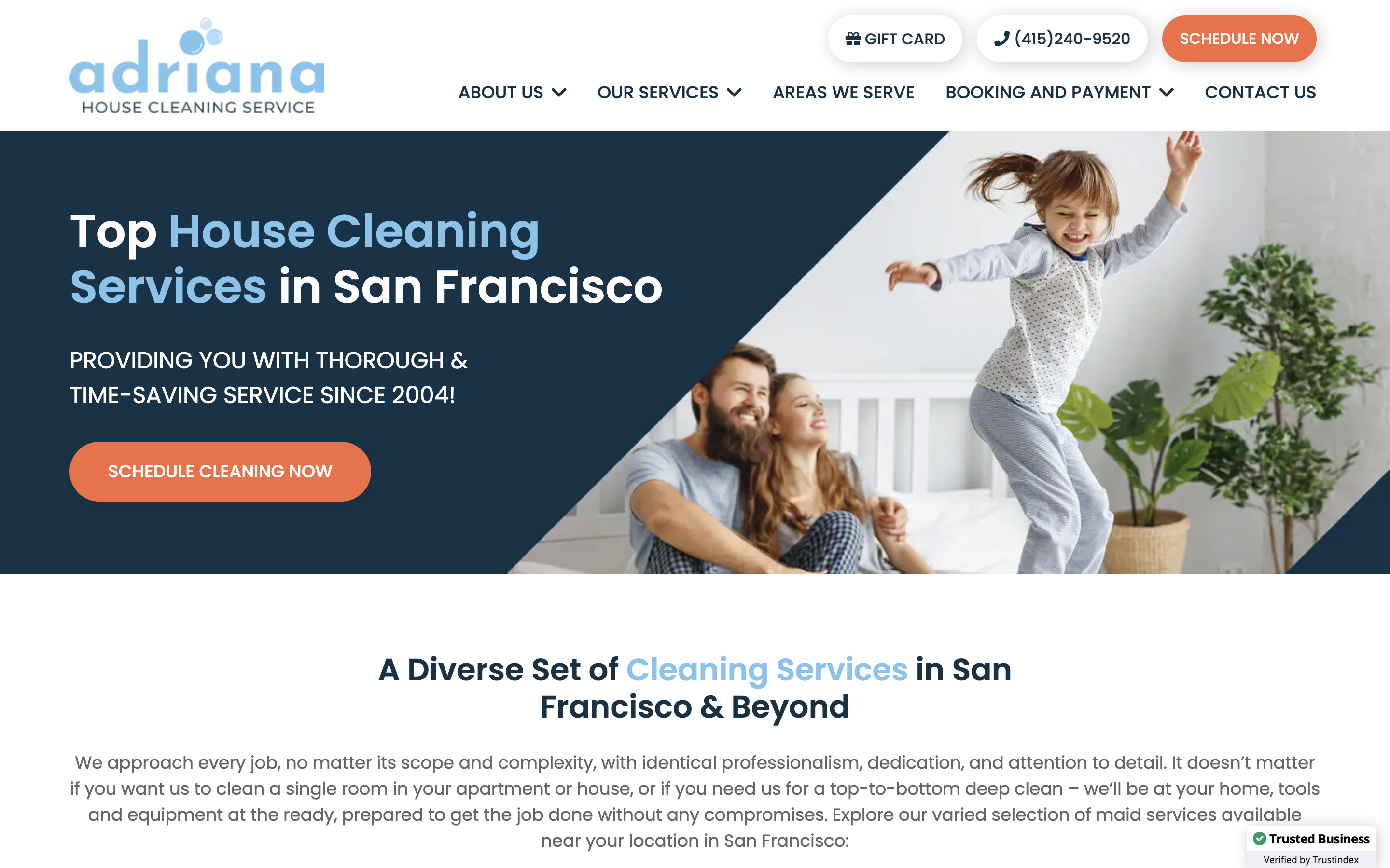 cleaner web design sample