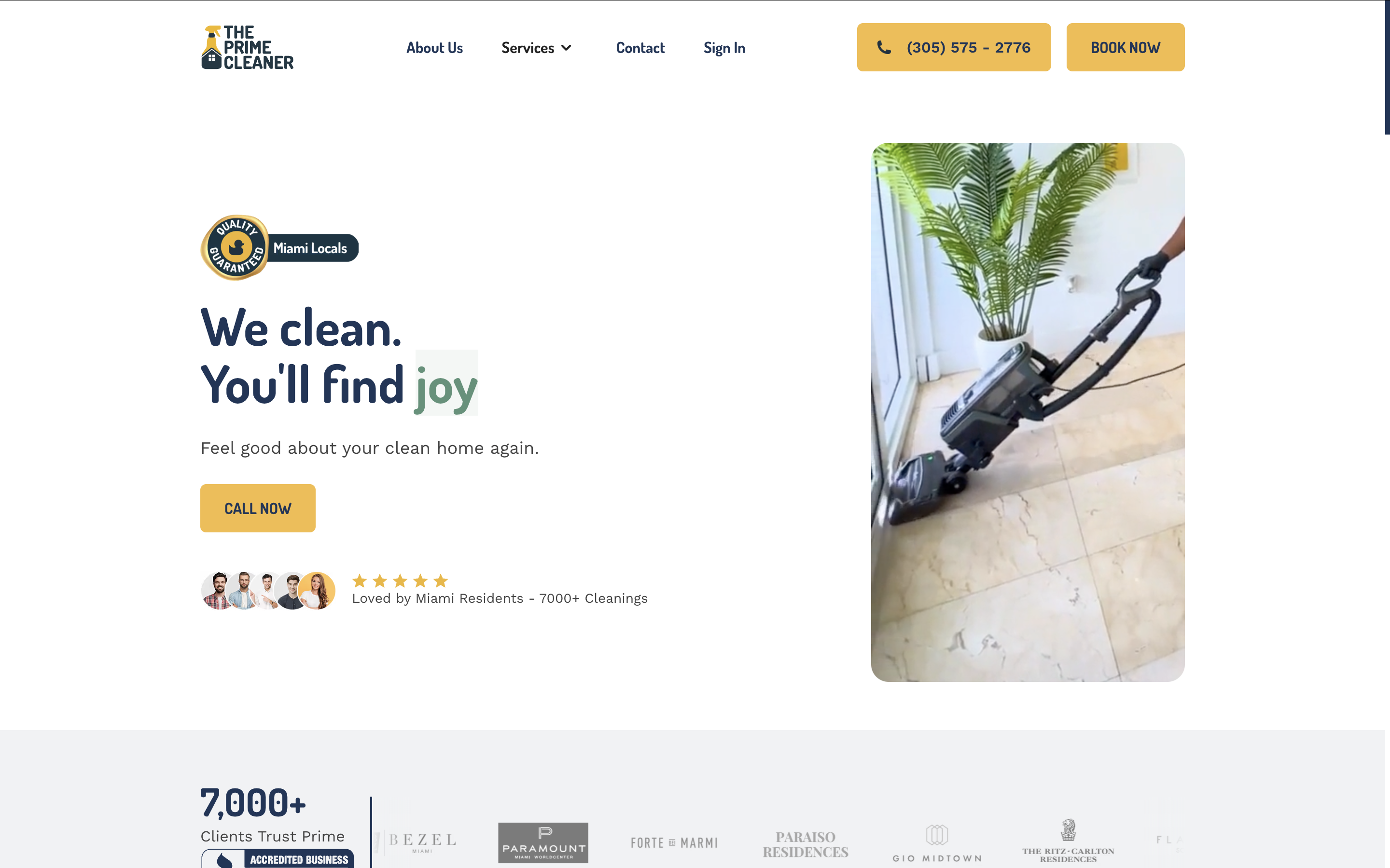 cleaner web design sample